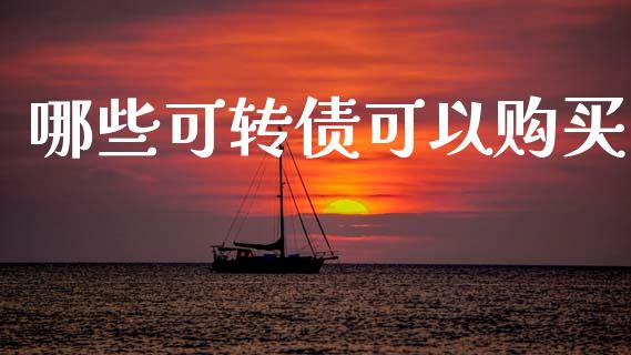 哪些可转债可以购买_https://www.fcdydaikuan.com_恒指期货直播_第1张