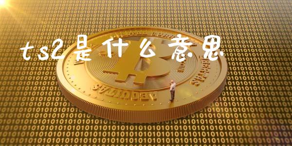 ts2是什么意思_https://www.fcdydaikuan.com_德指期货直播_第1张