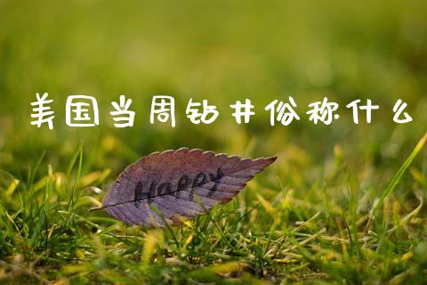 美国当周钻井俗称什么_https://www.fcdydaikuan.com_恒生指数直播室_第1张