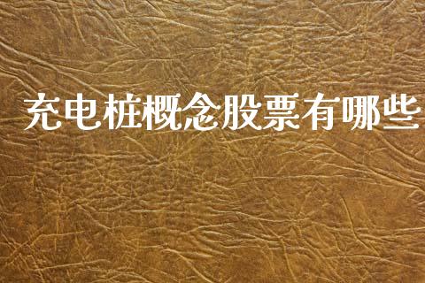 充电桩概念股票有哪些_https://www.fcdydaikuan.com_德指期货直播_第1张