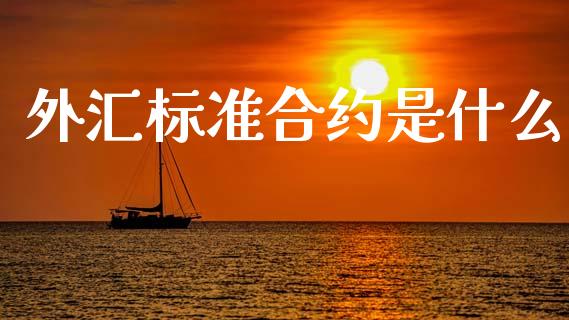 外汇标准合约是什么_https://www.fcdydaikuan.com_恒生指数直播室_第1张