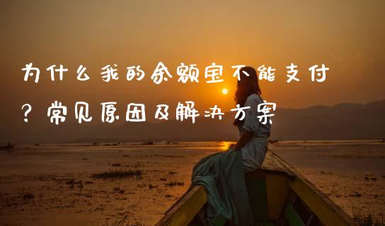 为什么我的余额宝不能支付？常见原因及解决方案_https://www.fcdydaikuan.com_德指期货直播_第1张