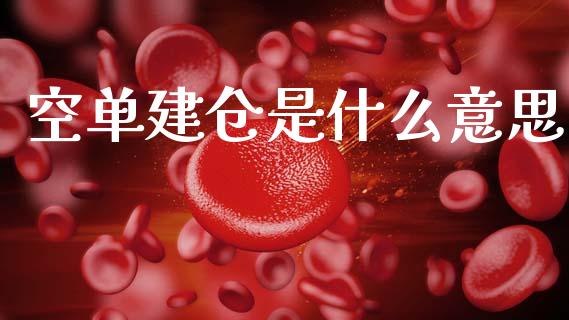 空单建仓是什么意思_https://www.fcdydaikuan.com_德指期货直播_第1张
