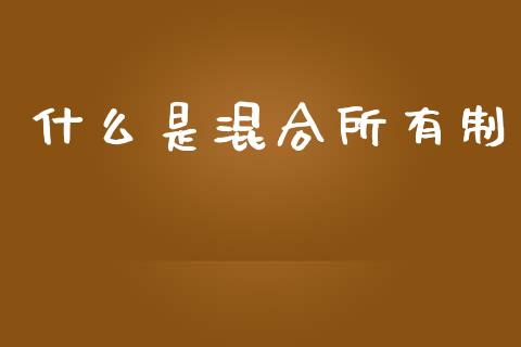 什么是混合所有制_https://www.fcdydaikuan.com_恒生指数直播室_第1张
