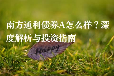 南方通利债券A怎么样？深度解析与投资指南_https://www.fcdydaikuan.com_恒指期货直播_第1张