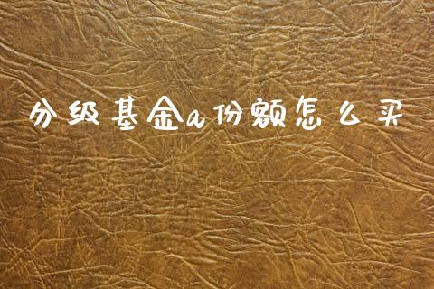 分级基金a份额怎么买_https://www.fcdydaikuan.com_黄金期货直播_第1张