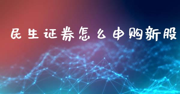 民生证券怎么申购新股_https://www.fcdydaikuan.com_恒生指数直播室_第1张