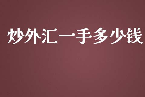 炒外汇一手多少钱_https://www.fcdydaikuan.com_黄金期货直播_第1张