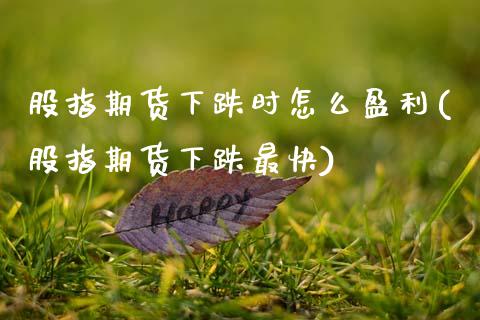 股指期货下跌时怎么盈利(股指期货下跌最快)_https://www.fcdydaikuan.com_恒指期货直播_第1张