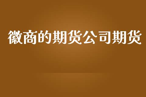 徽商的期货公司期货_https://www.fcdydaikuan.com_恒生指数直播室_第1张