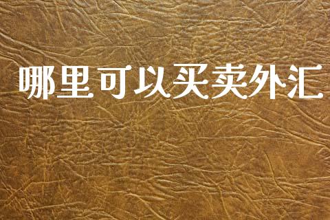 哪里可以买卖外汇_https://www.fcdydaikuan.com_恒指期货直播_第1张