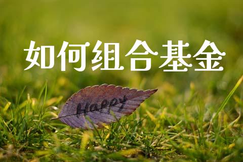 如何组合基金_https://www.fcdydaikuan.com_恒指期货直播_第1张