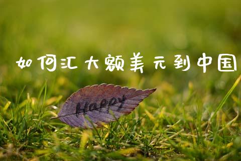 如何汇大额美元到中国_https://www.fcdydaikuan.com_黄金期货直播_第1张