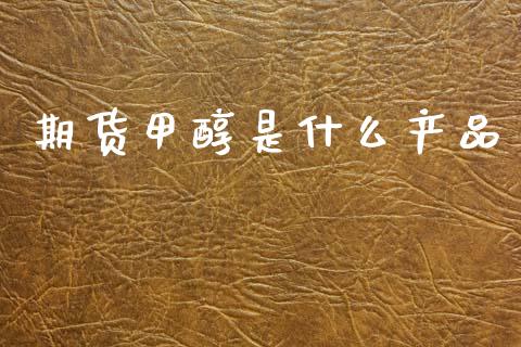 期货甲醇是什么产品_https://www.fcdydaikuan.com_恒指期货直播_第1张