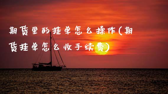 期货里的挂单怎么操作(期货挂单怎么收手续费)_https://www.fcdydaikuan.com_恒指期货直播_第1张