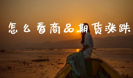 怎么看商品期货涨跌_https://www.fcdydaikuan.com_德指期货直播_第1张