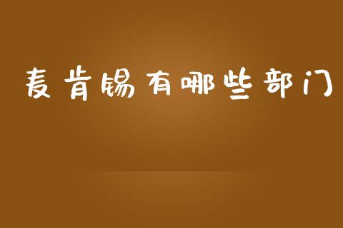 麦肯锡有哪些部门_https://www.fcdydaikuan.com_恒指期货直播_第1张