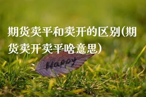 期货卖平和卖开的区别(期货卖开卖平啥意思)_https://www.fcdydaikuan.com_恒生指数直播室_第1张