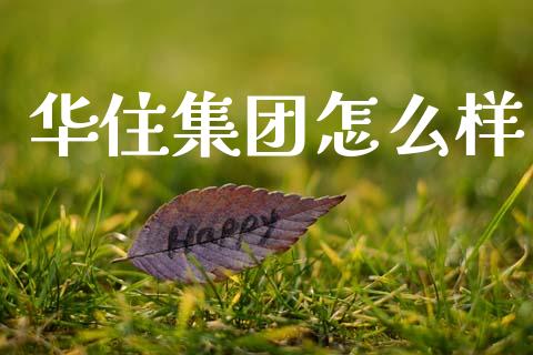 华住集团怎么样_https://www.fcdydaikuan.com_黄金期货直播_第1张