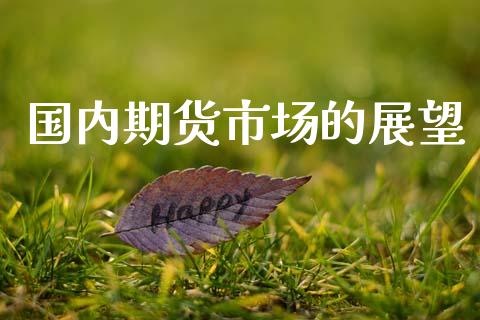 国内期货市场的展望_https://www.fcdydaikuan.com_德指期货直播_第1张