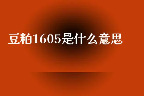 豆粕1605是什么意思_https://www.fcdydaikuan.com_恒指期货直播_第1张