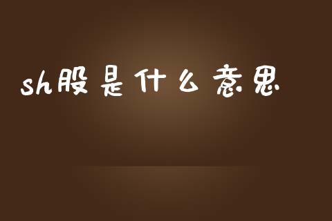 sh股是什么意思_https://www.fcdydaikuan.com_德指期货直播_第1张