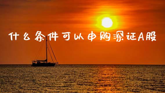 什么条件可以申购深证A股_https://www.fcdydaikuan.com_恒指期货直播_第1张