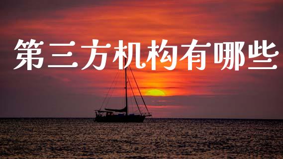 第三方机构有哪些_https://www.fcdydaikuan.com_黄金期货直播_第1张