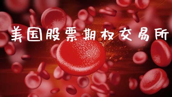 美国股票期权交易所_https://www.fcdydaikuan.com_恒指期货直播_第1张