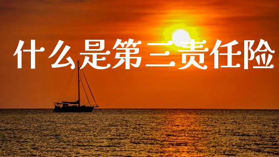 什么是第三责任险_https://www.fcdydaikuan.com_黄金期货直播_第1张