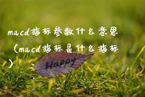 macd指标参数什么意思(macd指标是什么指标)_黄金期货直播_第1张_恒生指数直播室_恒指期货直播_德指期货直播_黄金期货直播 macd指标参数什么意思(macd指标是什么指标)_https://www.fcdydaikuan.com_黄金期货直播_第1张