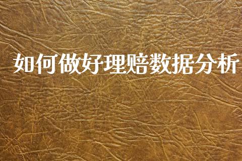 如何做好理赔数据分析_https://www.fcdydaikuan.com_恒生指数直播室_第1张