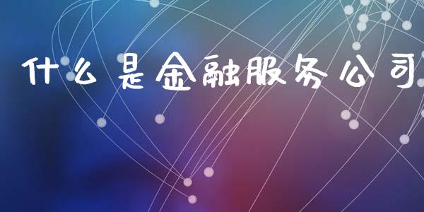 什么是金融服务公司_https://www.fcdydaikuan.com_恒指期货直播_第1张