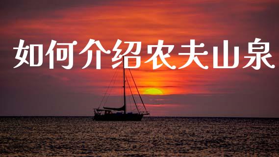 如何介绍农夫山泉_https://www.fcdydaikuan.com_黄金期货直播_第1张