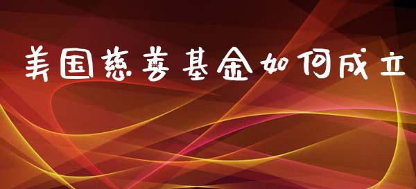 美国慈善基金如何成立_https://www.fcdydaikuan.com_黄金期货直播_第1张