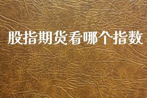 股指期货看哪个指数_https://www.fcdydaikuan.com_恒生指数直播室_第1张