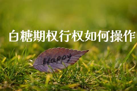白糖期权行权如何操作_https://www.fcdydaikuan.com_恒生指数直播室_第1张