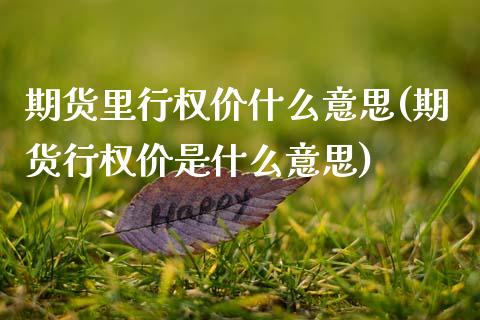 期货里行权价什么意思(期货行权价是什么意思)_https://www.fcdydaikuan.com_恒生指数直播室_第1张