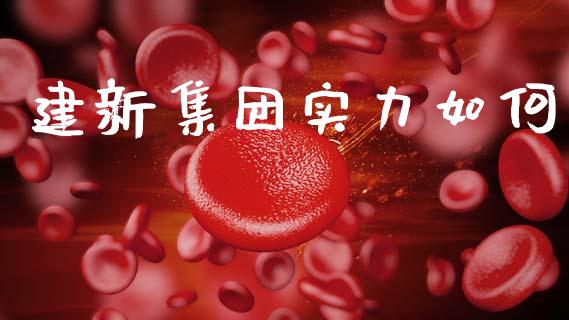 建新集团实力如何_https://www.fcdydaikuan.com_恒指期货直播_第1张