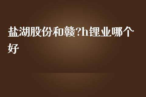 盐湖股份和赣?h锂业哪个好_https://www.fcdydaikuan.com_恒指期货直播_第1张