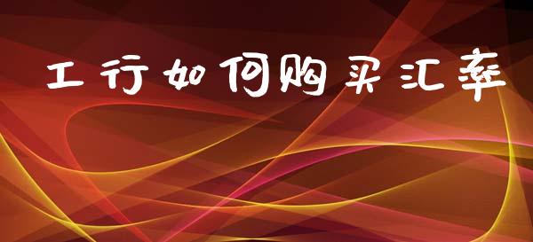 工行如何购买汇率_https://www.fcdydaikuan.com_恒指期货直播_第1张