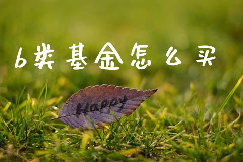 b类基金怎么买_https://www.fcdydaikuan.com_恒生指数直播室_第1张