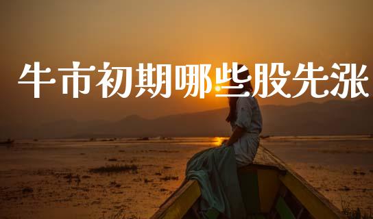牛市初期哪些股先涨_https://www.fcdydaikuan.com_恒指期货直播_第1张