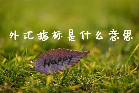 外汇指标是什么意思_https://www.fcdydaikuan.com_德指期货直播_第1张