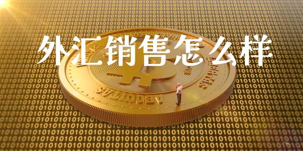 外汇销售怎么样_https://www.fcdydaikuan.com_德指期货直播_第1张