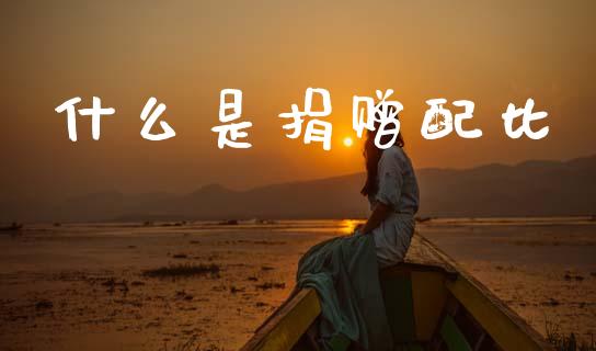 什么是捐赠配比_https://www.fcdydaikuan.com_恒生指数直播室_第1张