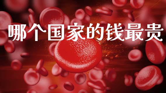 哪个国家的钱最贵_https://www.fcdydaikuan.com_德指期货直播_第1张