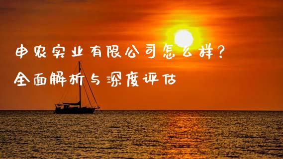 申农实业有限公司怎么样？全面解析与深度评估_https://www.fcdydaikuan.com_德指期货直播_第1张