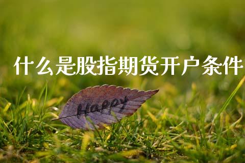 什么是股指期货开户条件_https://www.fcdydaikuan.com_恒生指数直播室_第1张