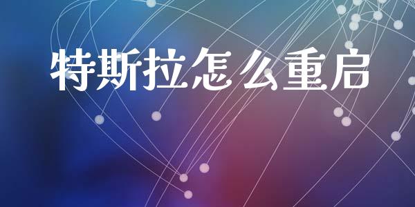 特斯拉怎么重启_https://www.fcdydaikuan.com_德指期货直播_第1张